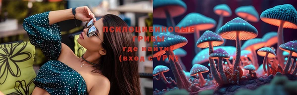 герыч Бородино