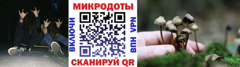 МЕГА маркетплейс  Гусев  Галлюциногенные грибы Magic Shrooms  магазин продажи наркотиков 